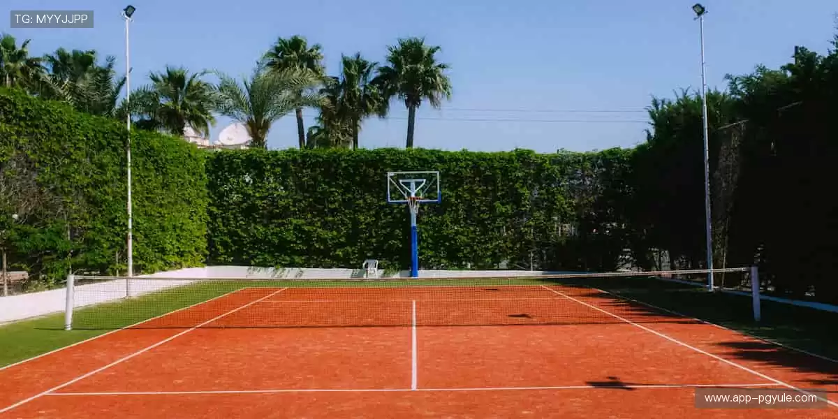 实时比分一手掌控，赛事动态永不落空⚡️